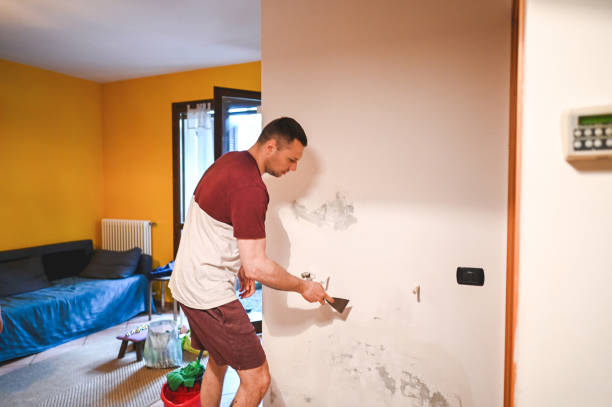 Best Mold Remediation for Schools in Aust, IN
